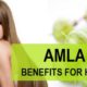 Amla Juice