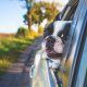Traveling With Dog