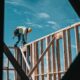 josh olalde X1P1 EDNnok unsplash