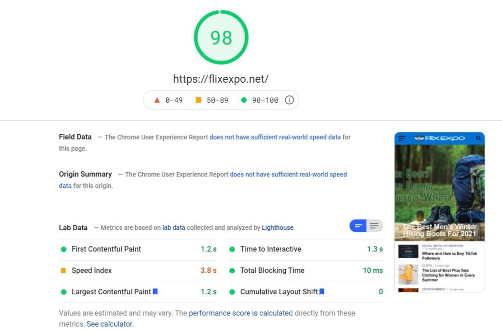 Flix Expo Google PageSpeed Insights test result