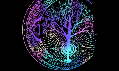 8809ddcfca744050a5f31221f688e2f6