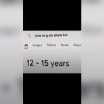 how long do idiots live